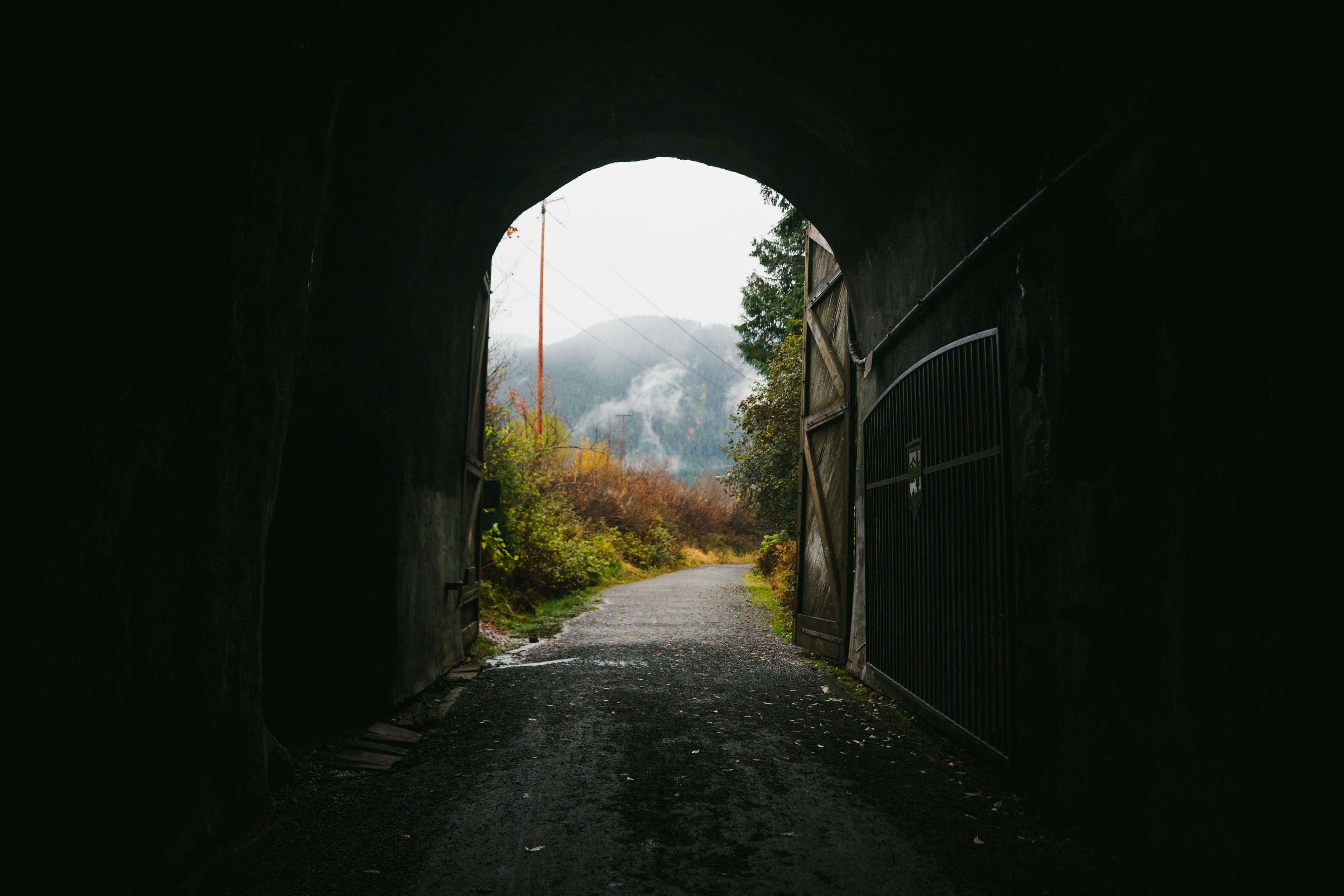 Runner on single track through Pacific Northwest forest