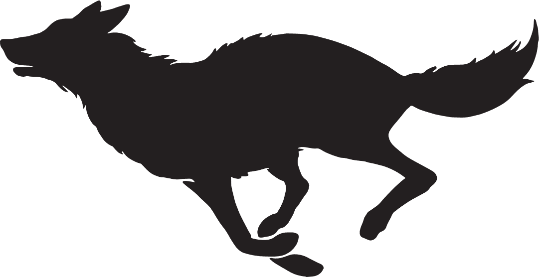 Snoqualmie Running logo